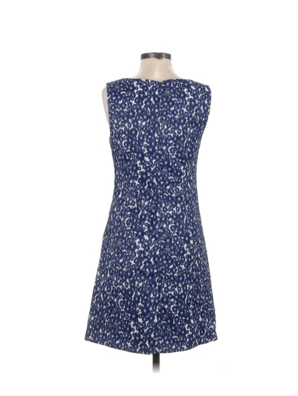 NWT Cynthia Steffe Embroidered Blue Cornflower Sleeveless Dress Size 4 - Picture 3 of 5